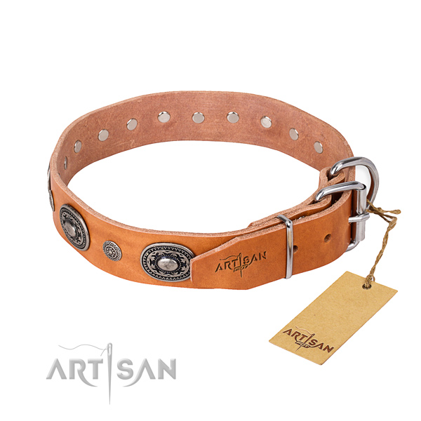 High quality leather dog collar created for walking