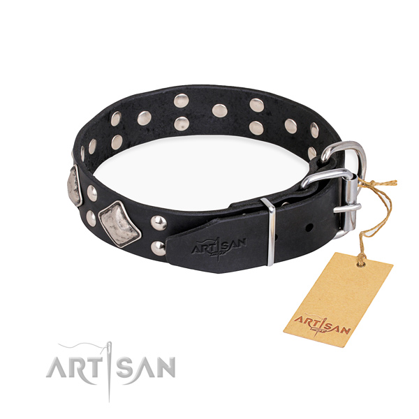 Full grain leather dog collar with stylish rust resistant decorations