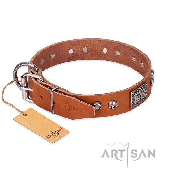 Rust resistant D-ring on everyday use dog collar