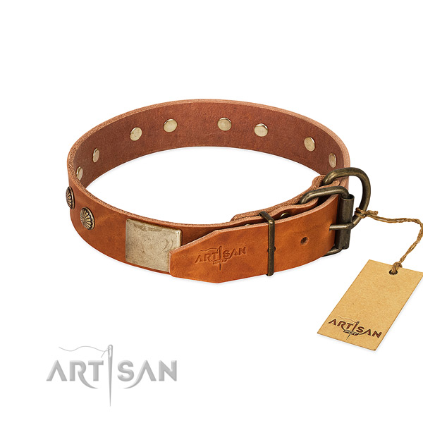 Rust resistant fittings on stylish walking dog collar