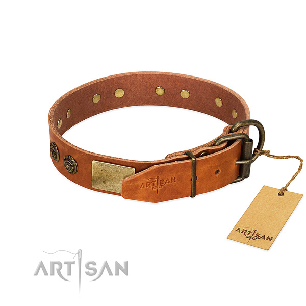 Strong buckle on full grain leather collar for daily walking your canine