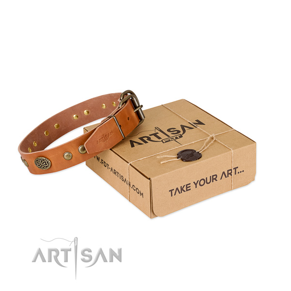 Rust resistant studs on Genuine leather dog collar for your doggie