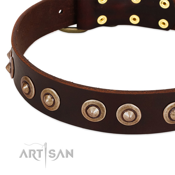 Corrosion proof embellishments on leather dog collar for your pet
