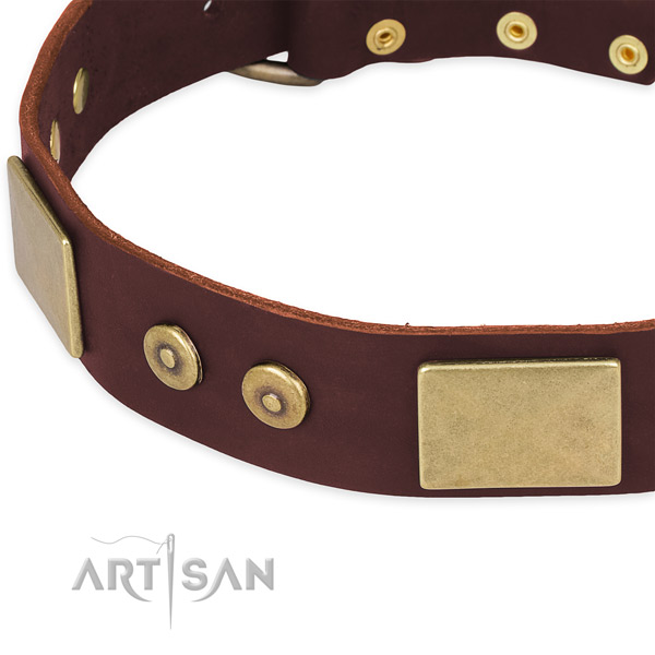Natural genuine leather dog collar with adornments for stylish walking