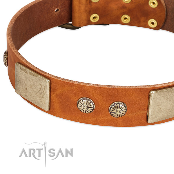 Rust-proof embellishments on full grain leather dog collar for your four-legged friend