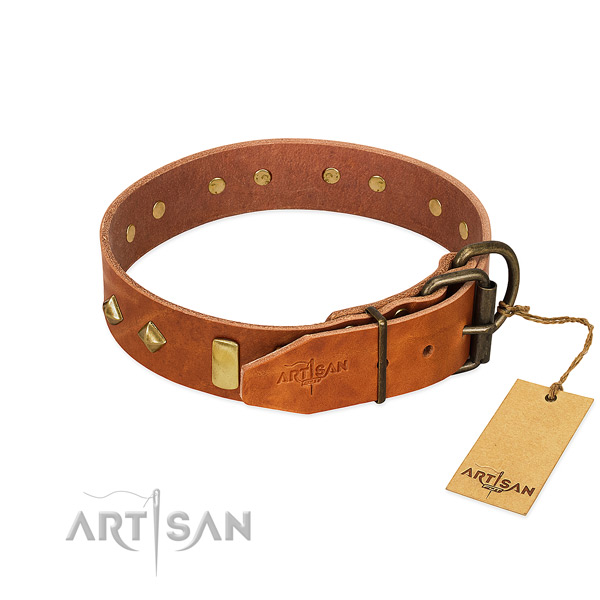 Walking full grain genuine leather dog collar with extraordinary embellishments