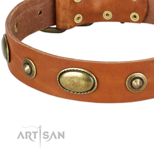 Durable studs on leather dog collar for your pet