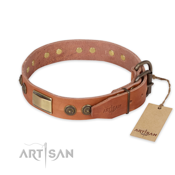 Strong traditional buckle on natural genuine leather collar for daily walking your four-legged friend
