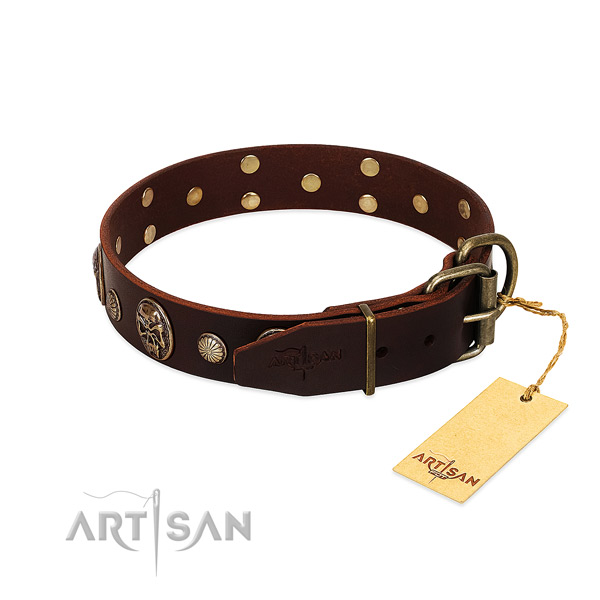 Rust-proof embellishments on walking dog collar