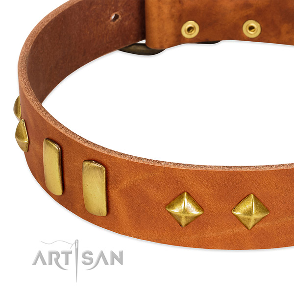 Daily walking natural leather dog collar with stylish adornments