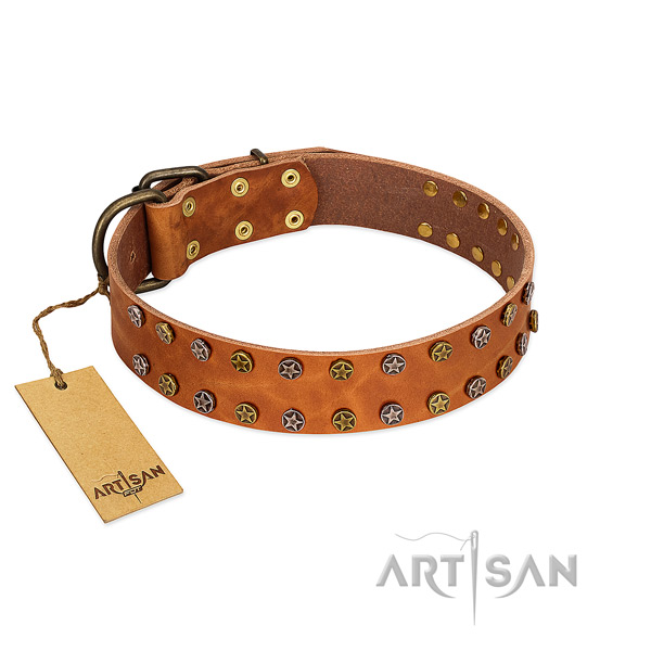 Everyday walking top notch genuine leather dog collar with adornments