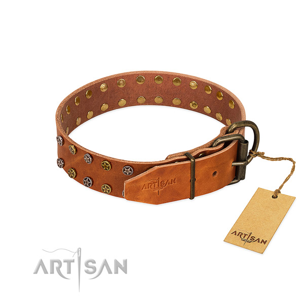 Fancy walking natural leather dog collar with amazing decorations