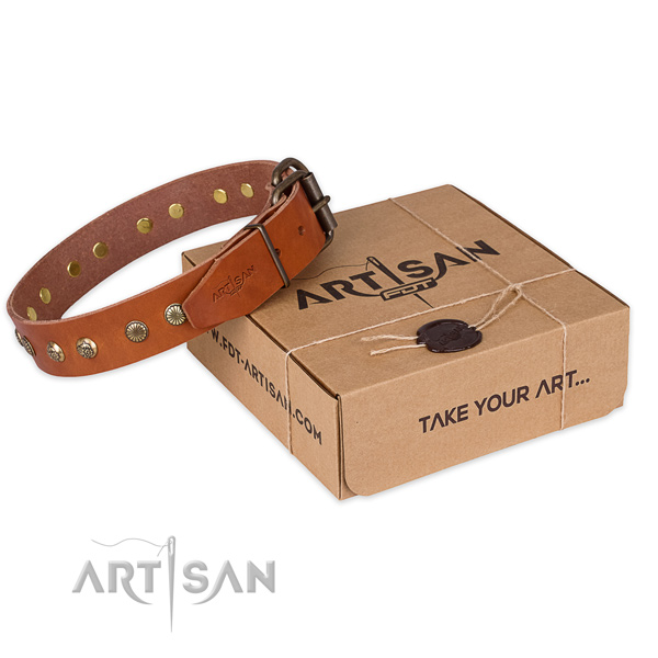 Rust resistant buckle on full grain leather collar for your stylish four-legged friend