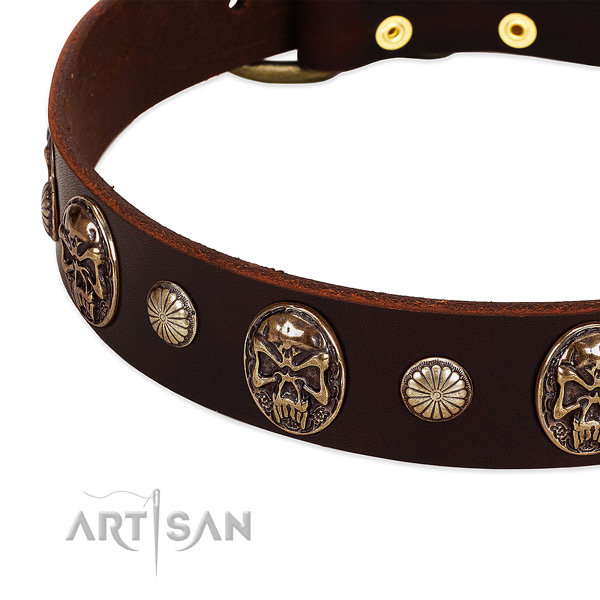 Full grain leather dog collar with adornments for daily use
