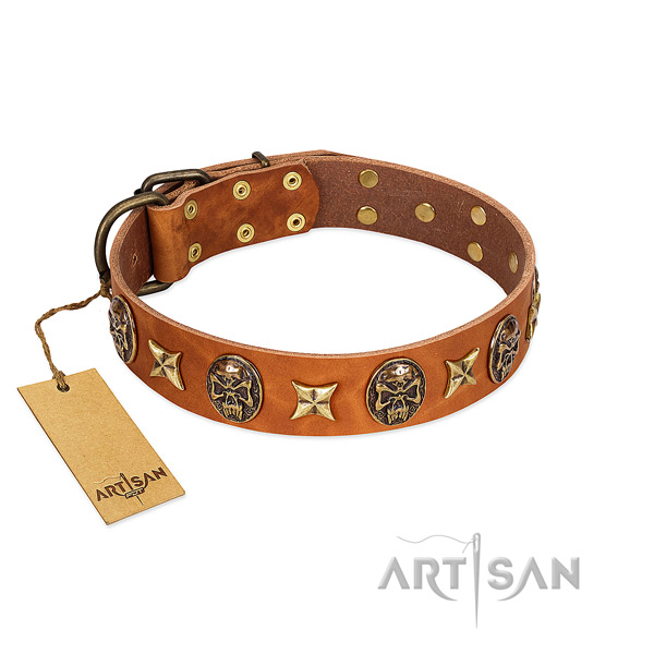 Embellished full grain natural leather collar for your canine