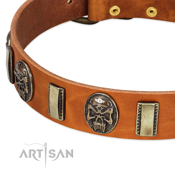 Durable traditional buckle on genuine leather dog collar for your canine