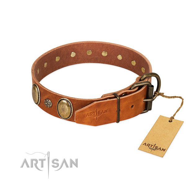 Daily use top rate full grain natural leather dog collar