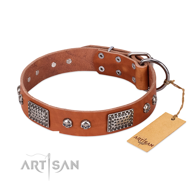 Easy wearing full grain leather dog collar for everyday walking your dog