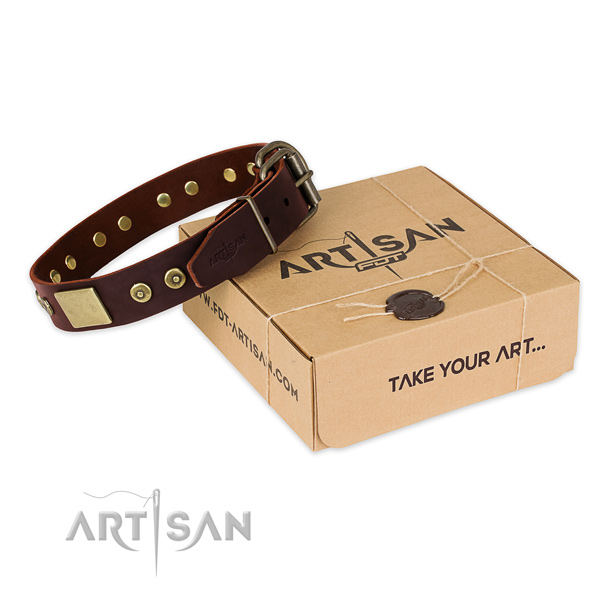 Rust-proof adornments on dog collar for comfortable wearing