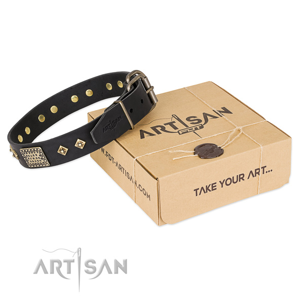 Stylish leather collar for your stylish pet