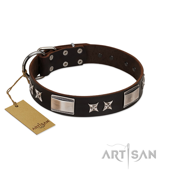 Impressive dog collar of genuine leather
