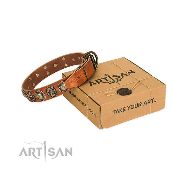 Rust resistant adornments on dog collar for daily walking