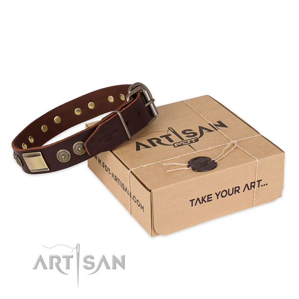 Rust resistant hardware on leather dog collar for handy use