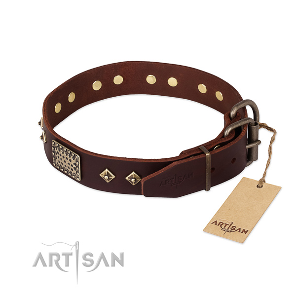 Full grain leather dog collar with rust-proof hardware and embellishments