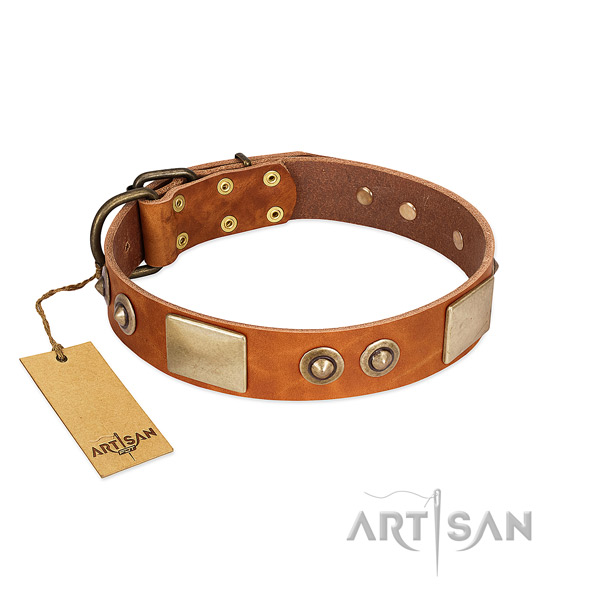 Adjustable full grain natural leather dog collar for everyday walking your doggie