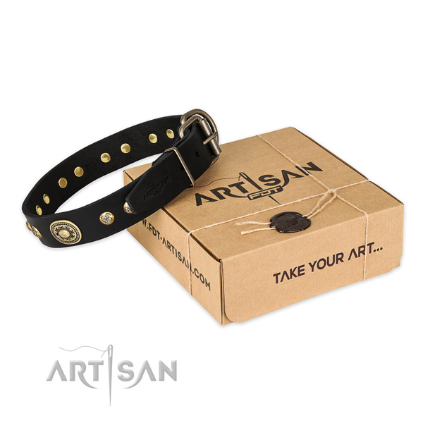 Rust-proof fittings on genuine leather dog collar for everyday use
