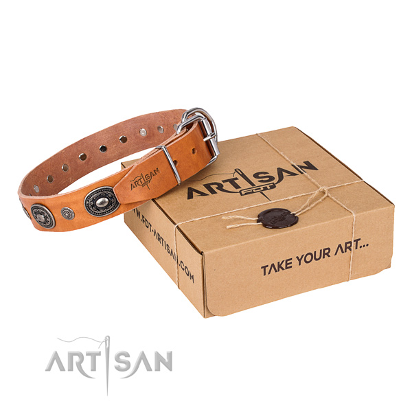 Top rate full grain genuine leather dog collar crafted for fancy walking