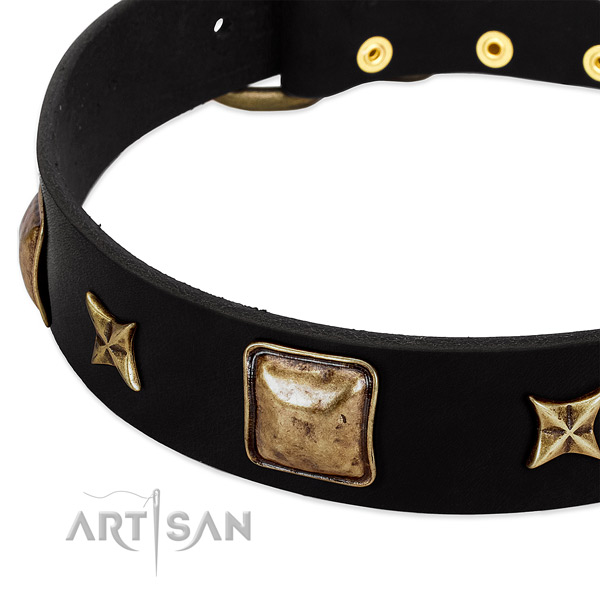Full grain natural leather dog collar with stunning embellishments