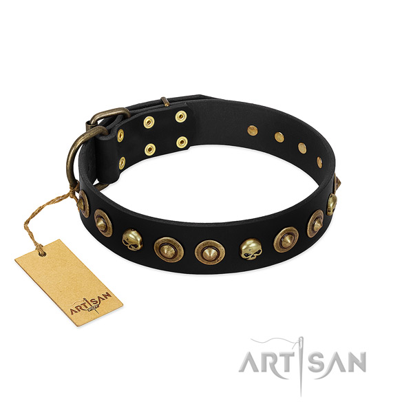 Full grain genuine leather collar with exquisite embellishments for your dog