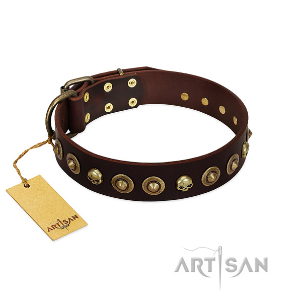 Full grain natural leather collar with stylish design embellishments for your pet