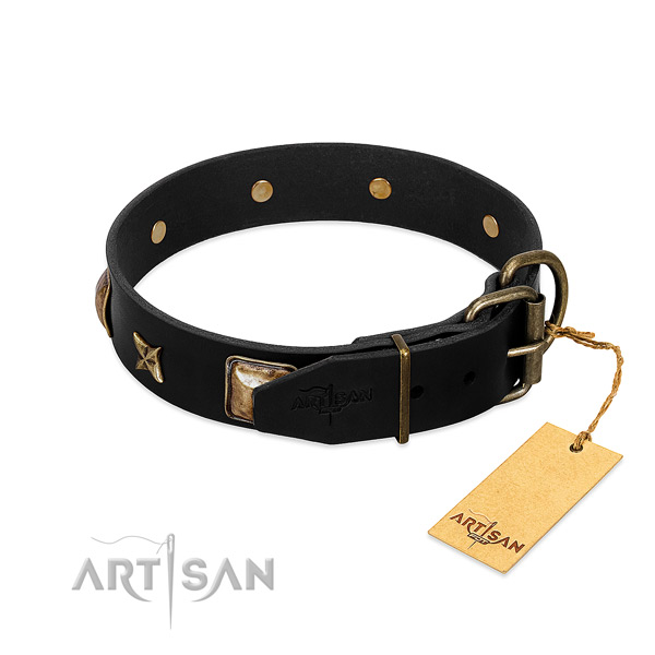 Strong traditional buckle on genuine leather collar for daily walking your dog