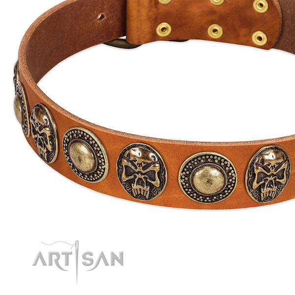 Reliable studs on full grain leather dog collar for your four-legged friend