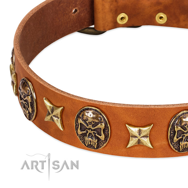 Reliable embellishments on leather dog collar for your canine