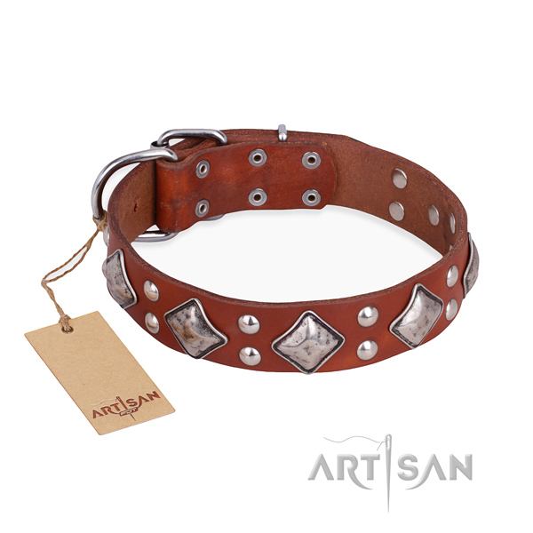 Walking fine quality dog collar with corrosion proof fittings