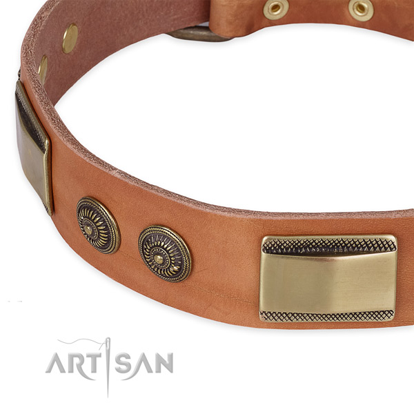 Rust resistant adornments on natural genuine leather dog collar for your dog