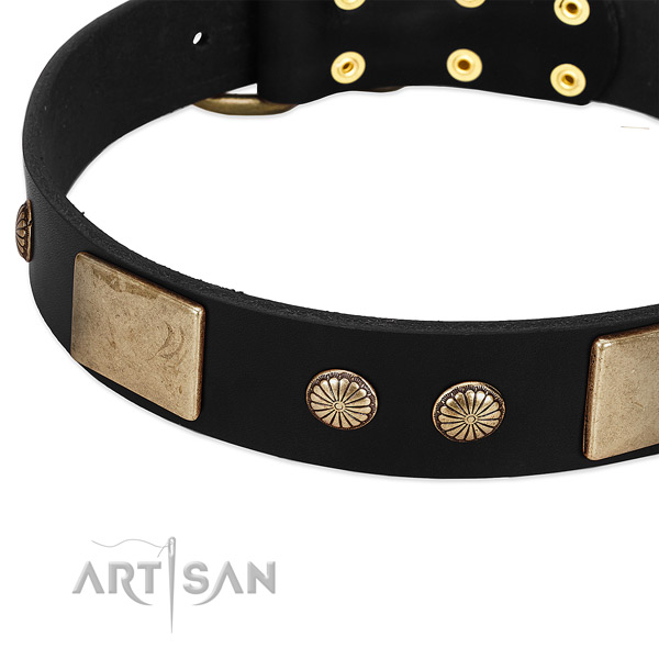 Genuine leather dog collar with embellishments for everyday walking