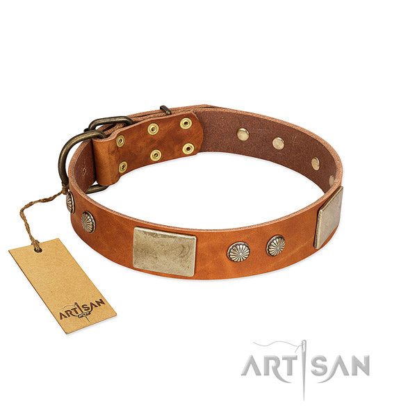 Adjustable full grain natural leather dog collar for daily walking your four-legged friend