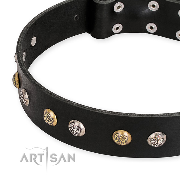 Natural genuine leather dog collar with top notch durable embellishments