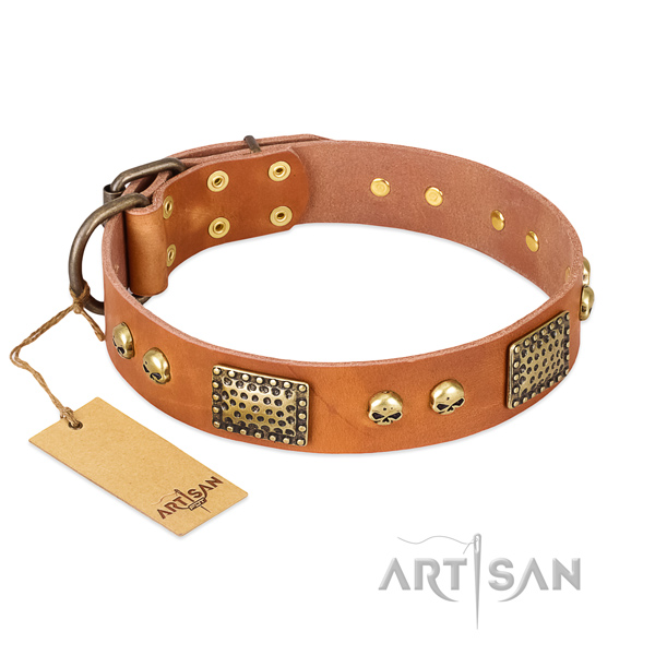 Adjustable leather dog collar for walking your canine