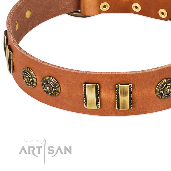 Corrosion proof buckle on full grain genuine leather dog collar for your doggie