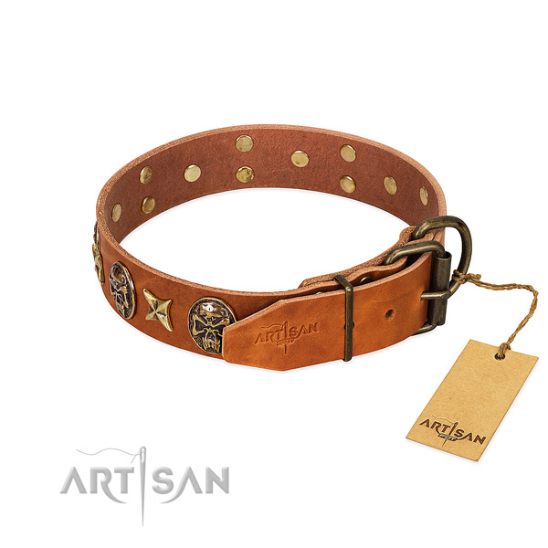 Leather dog collar with reliable traditional buckle and embellishments