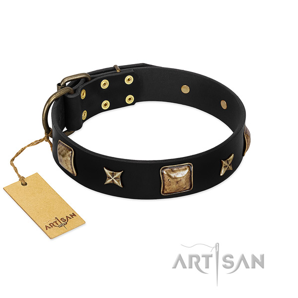 Full grain natural leather dog collar of top notch material with top notch decorations