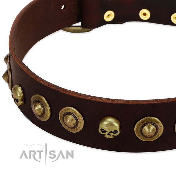 Exquisite embellishments on full grain genuine leather collar for your doggie