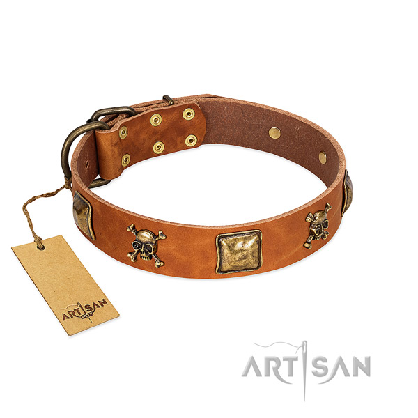 Stylish design full grain leather dog collar with durable adornments