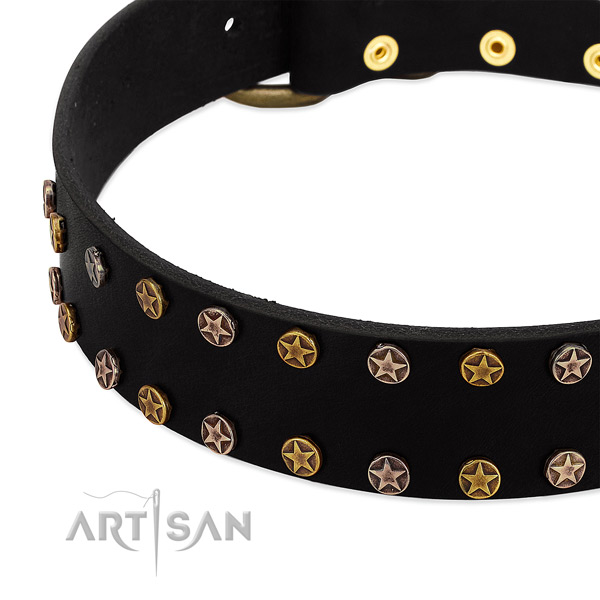 Significant embellishments on natural leather collar for your dog