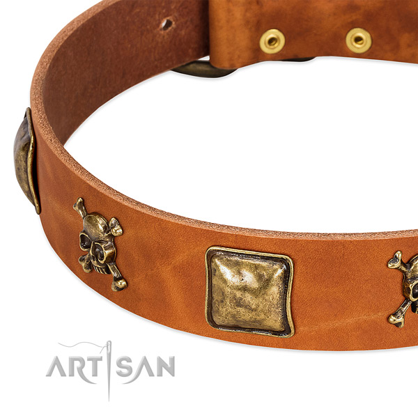 Top notch adornments on full grain natural leather collar for your doggie